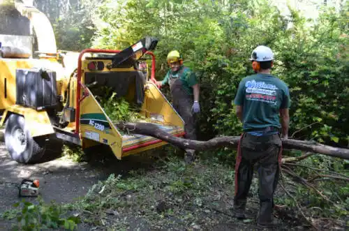 tree services Florence-Graham